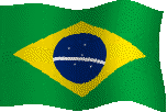 Brazil's Flag