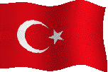 Turkey's Flag